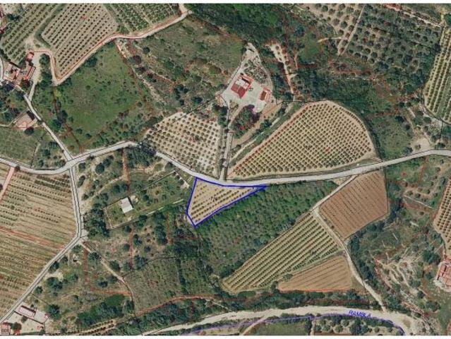 Local Comercial en venta en la Ribera Alta, Valencia