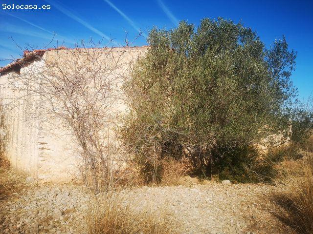 Local Comercial en venta en el Baix Maestrat, Valencia