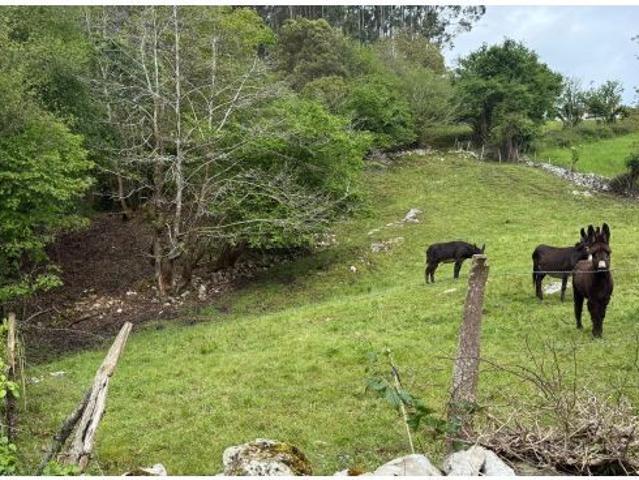 Local Comercial en venta en Roiz, Valdáliga