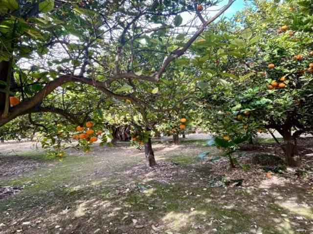 Local Comercial en venta en Valle del Almanzora, Andalucía