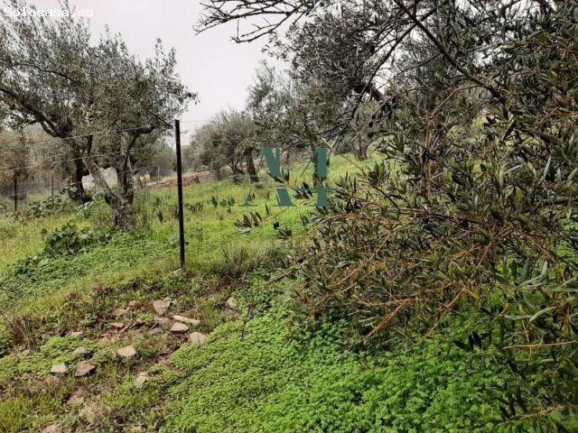 Local Comercial en venta en Cáceres - Sierra de Montánchez, Extremadura