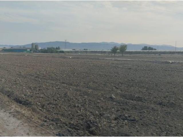 Local Comercial en venta en Lébor Bajo, Bajo Guadalentín