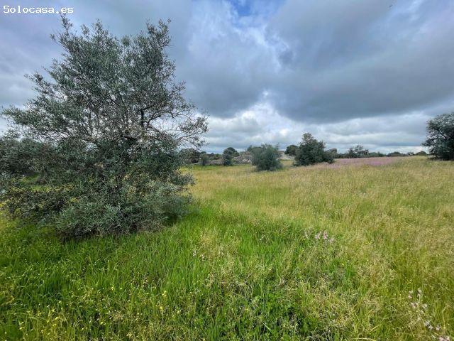 Local Comercial en venta en Malpartida De Cáceres, Extremadura