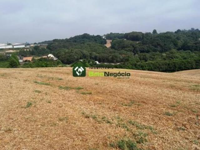 Terreno venda em Araucária, Região Geográfica Intermediária de Curitiba