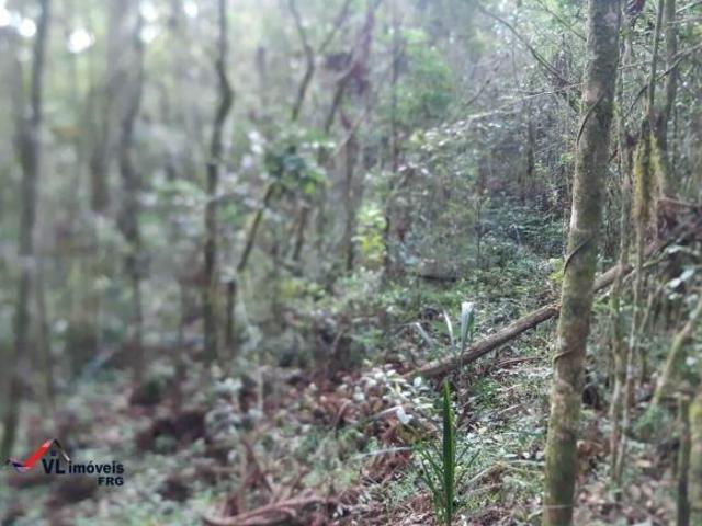 Terreno venda em Região Geográfica Imediata de Curitiba, Região Metropolitana de Curitiba