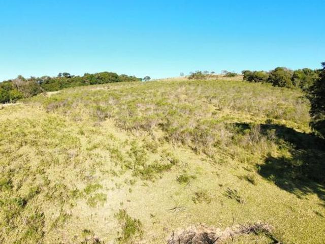 Terreno venda em Região Geográfica Imediata de Pouso Alegre, Bueno Brandão
