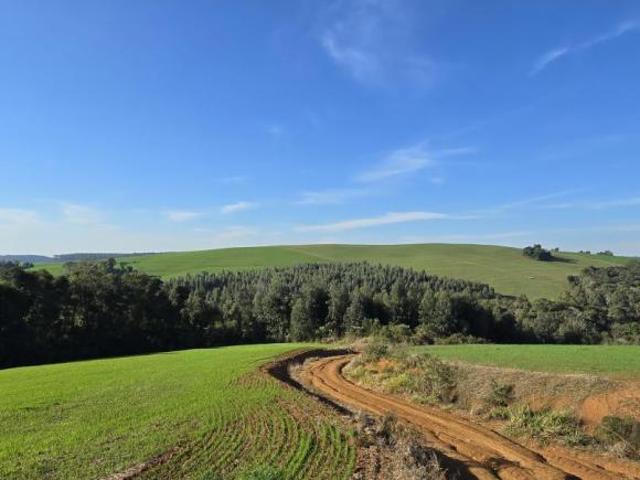 Terreno venda em Região Geográfica Imediata de Guarapuava, Prudentópolis
