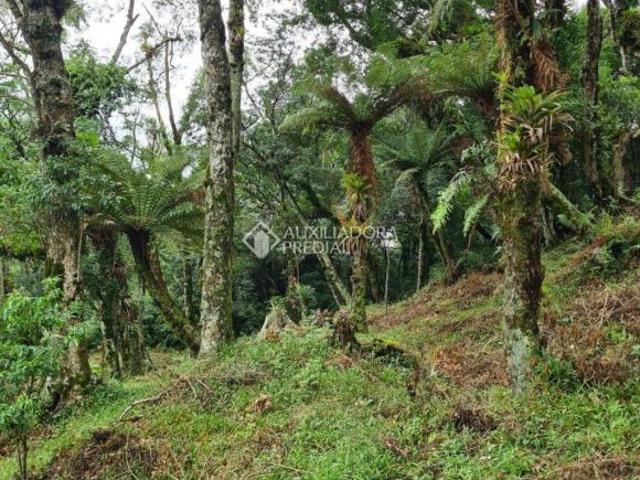 Terreno venda em Região Geográfica Imediata de Goiás - Itapuranga, Nova Crixás