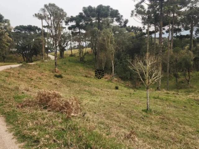 Fazenda venda em Região Geográfica Imediata de Lages, Urubici