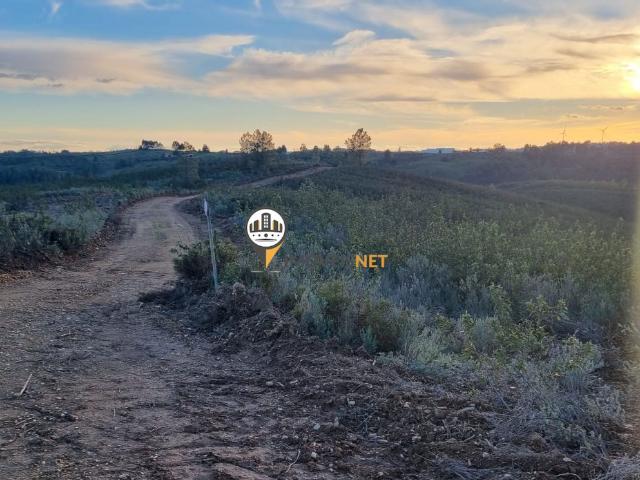 Terreno venda em Benquerenças, Castelo Branco