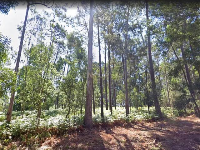 Terreno venda em Silvalde, Aveiro