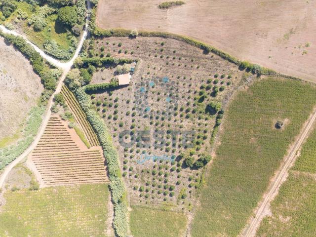 Terreno venda em Rossio do Carvalhal, Bombarral