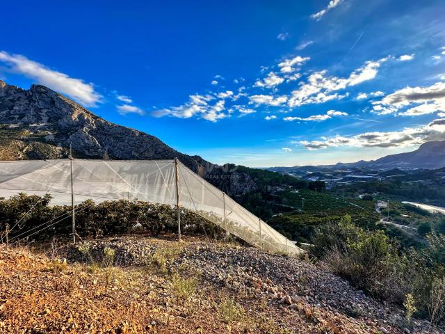 Casa Rural en venta en Callosa D'en Sarrià, Valencia