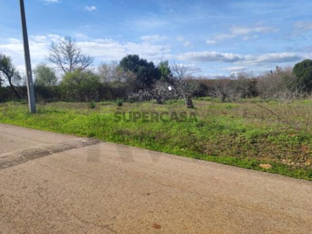 Terreno venda em São Bartolomeu De Messines, Faro