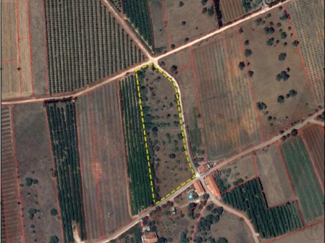 Terreno venda em São Bartolomeu De Messines, Faro