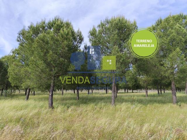 Terreno venda em Mourã, Beja