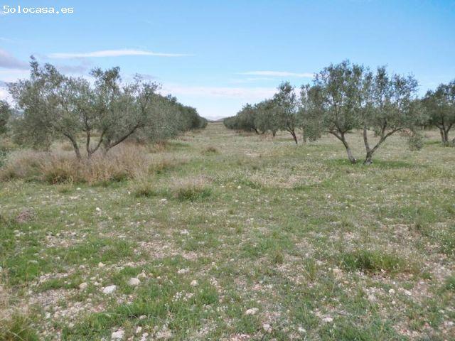 Local Comercial en venta en María Moliner, l'Alt Vinalopó / El Alto Vinalopó
