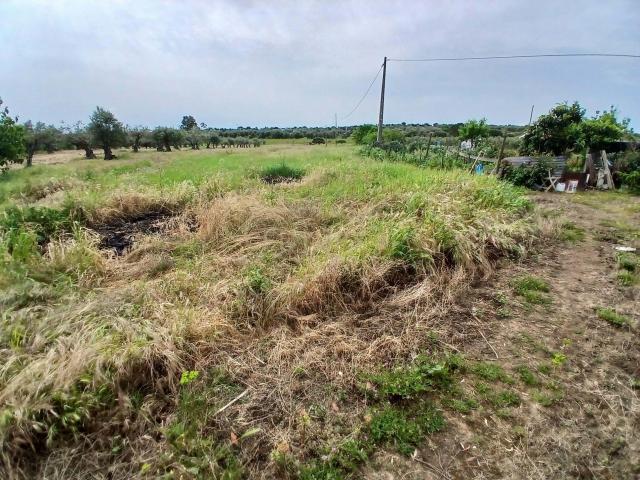 Terreno venda em Reguengos De Monsaraz, Évora