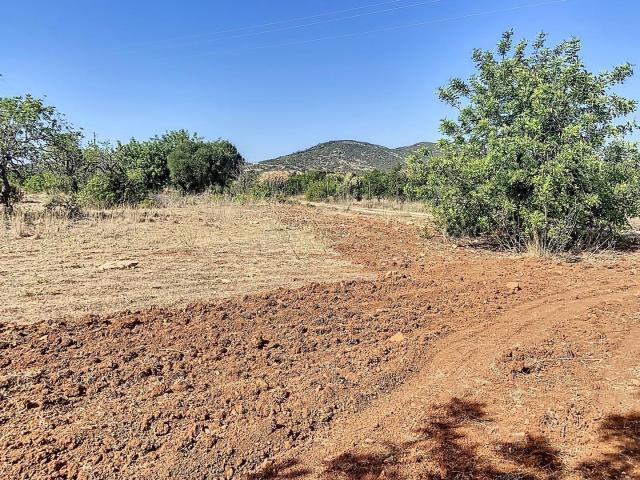 Terreno venda em Falfosa, Faro