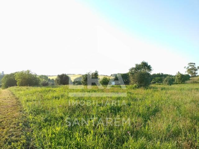 Terreno venda em Santarém