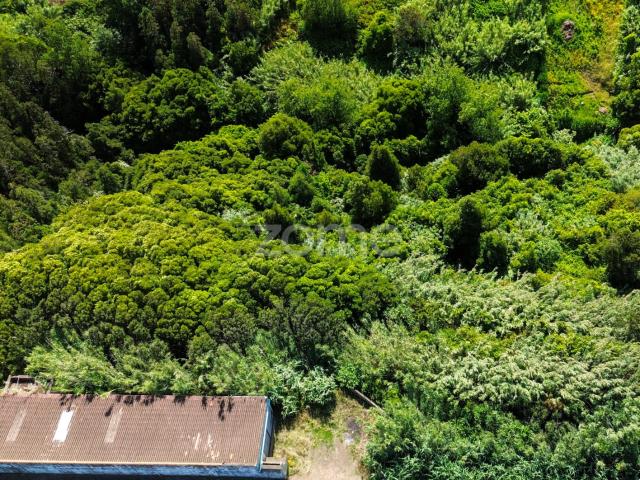 Terreno venda em Açores, Ribeira Grande