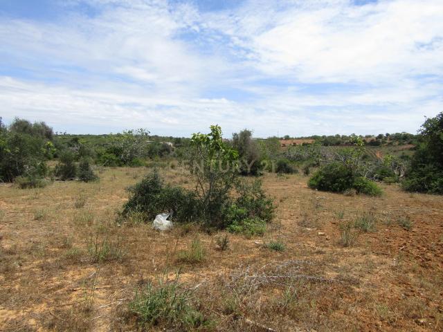 Terreno venda em Albufeira, Faro