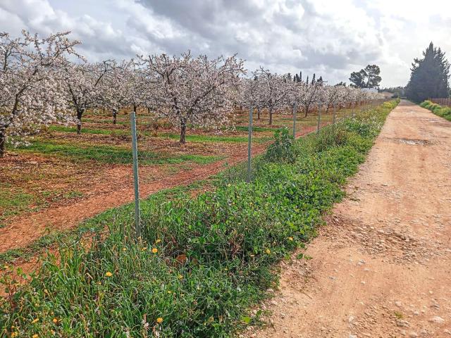 Casa Rural en venta en Raiguer, Baleares