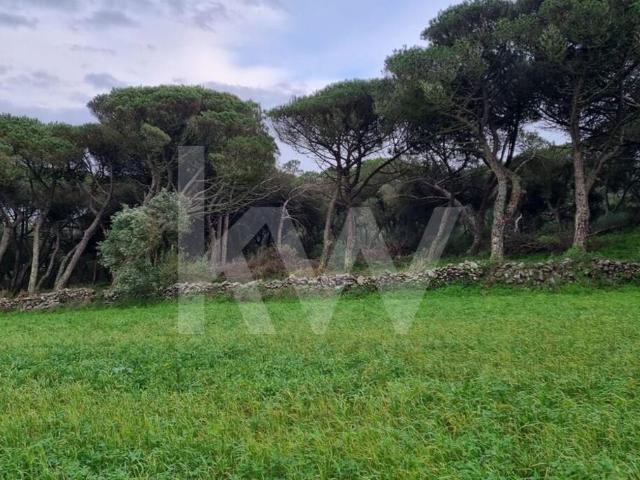 Terreno venda em Sintra, Lisboa