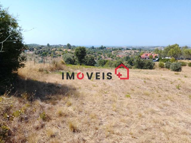 Terreno venda em Santarém