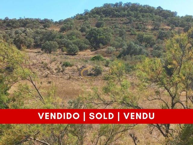 Quinta venda em São Bartolomeu De Messines, Faro