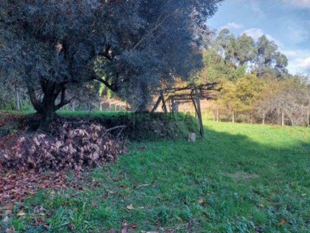 Terreno venda em Boalhosa, Viana Do Castelo