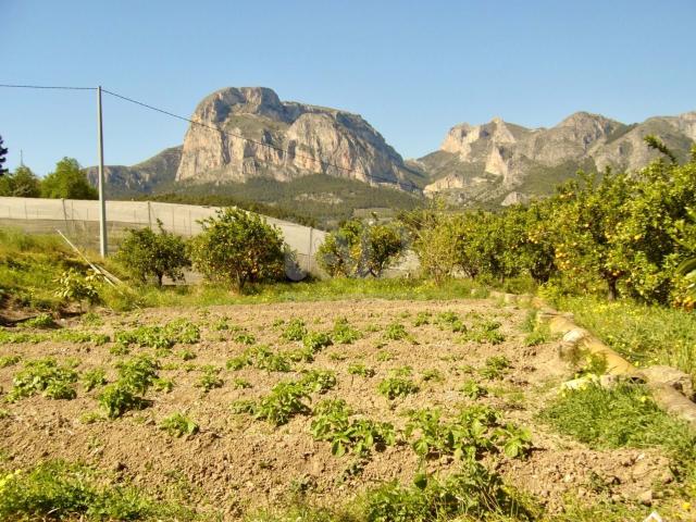 Casa Rural en venta en la Marina Baixa, Valencia
