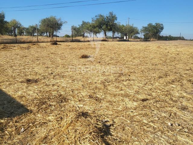 Terreno venda em Bairro Doutor Baltazar Rebelo de Sousa, Mourão