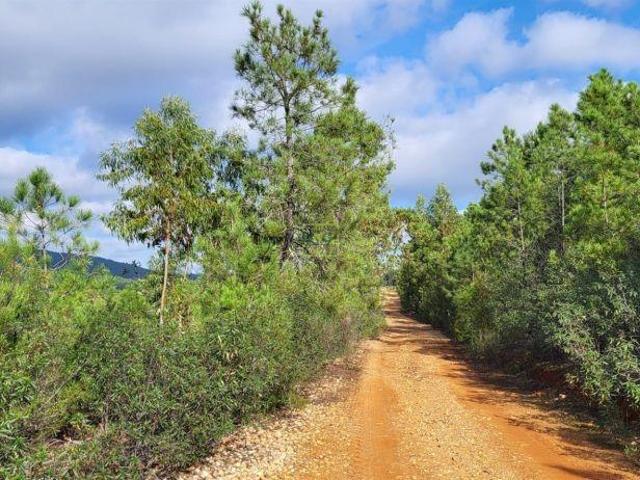 Terreno venda em Castelo Branco, Idanha-a-nova
