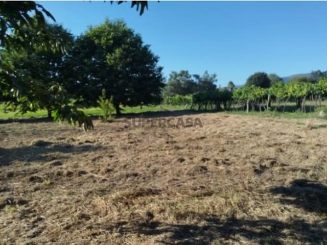 Terreno venda em Cerquido, Boalhosa