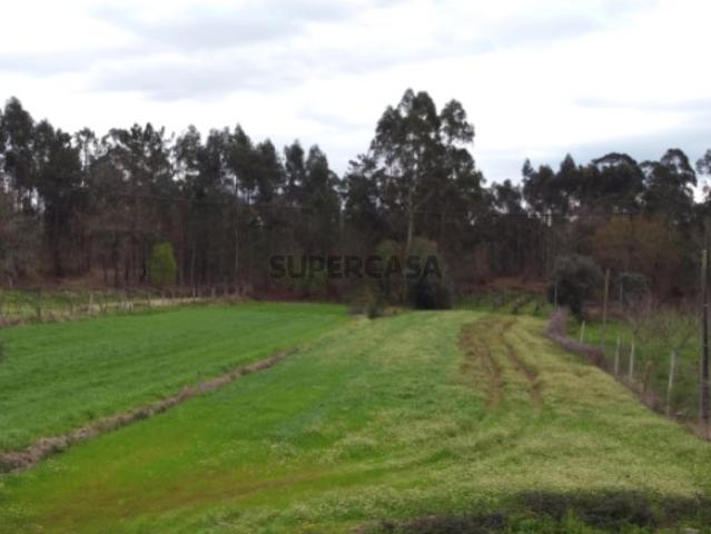 Terreno venda em Boalhosa, Viana Do Castelo
