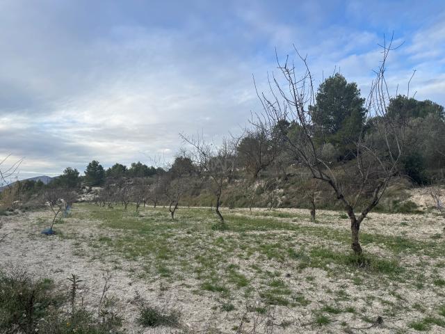 Casa Rural en venta en el Comtat, Valencia