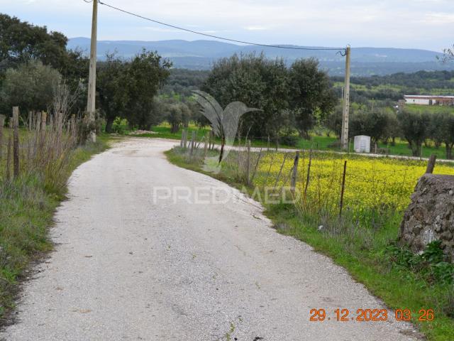 Terreno venda em Vila Viçosa, Évora