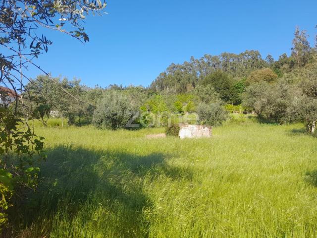 Terreno venda em Alvaiázere, Leiria