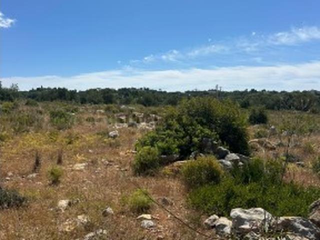 Terreno venda em Alecrineira, Olhão