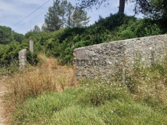 Terreno venda em Azeitão (São Lourenço e São Simão), Setúbal