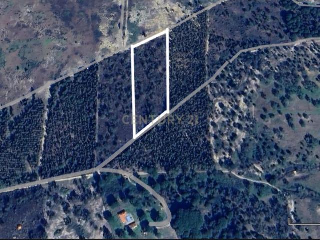 Terreno venda em Montijo, Setúbal