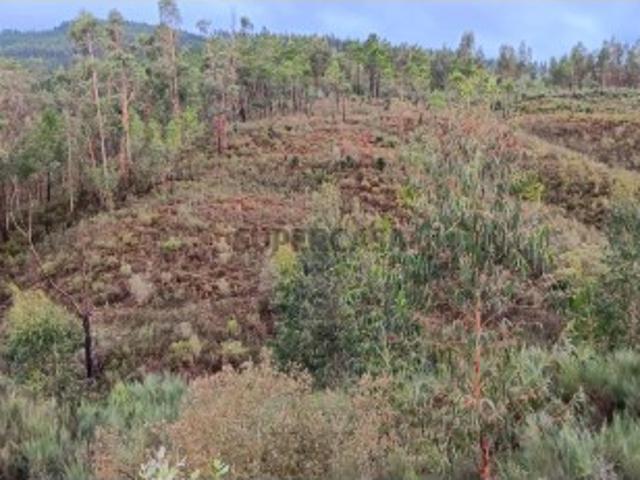 Terreno venda em Mação, Santarém