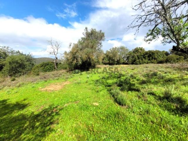 Terreno venda em Loulé, Faro