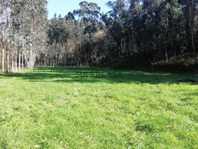 Terreno venda em Viana Do Castelo
