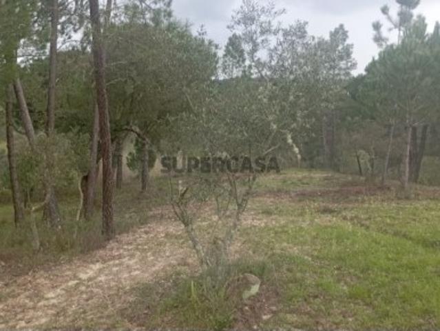Terreno venda em Ponte De Sor, Portalegre