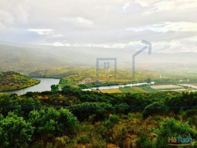 Terreno venda em Torre De Moncorvo, Bragança