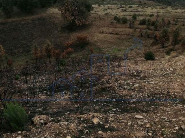 Terreno venda em Alfândega Da Fé, Bragança