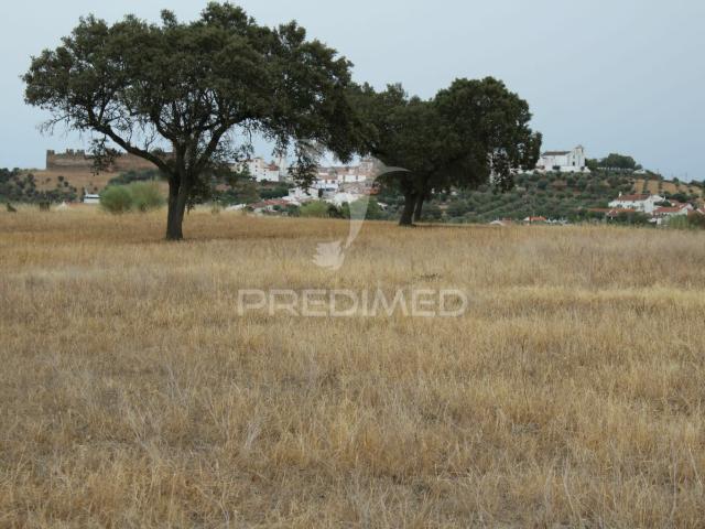 Terreno venda em São Pedro Terena, Évora