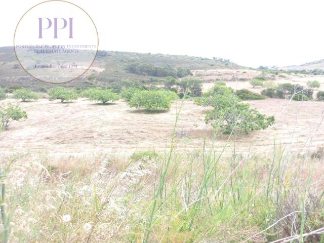 Terreno venda em Vila Do Bispo, Faro